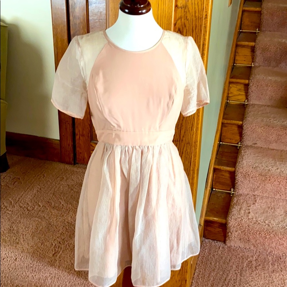 BCBGeneration Nude Mesh Dress